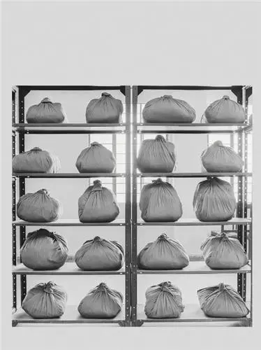 Dayanita Singh Pothi Khana