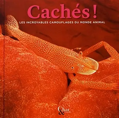 Cachés ! : les incroyables camouflages du monde animal