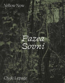 Pazea sovni : Liège, Namur