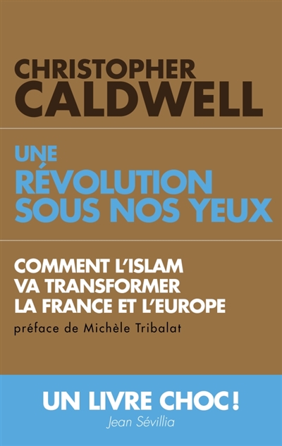 Une révolution sous nos yeux : comment l'islam va transformer la France et l'Europe