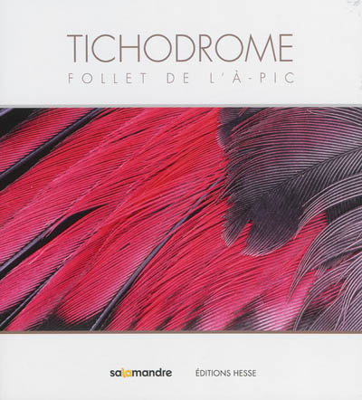 Tichodrome : follet de l'à-pic