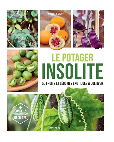 Le potager insolite : comment cultiver des fruits et légumes incroyables sur son balcon et au potager