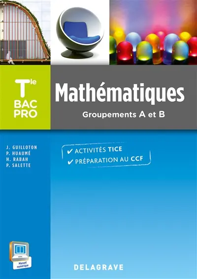 Mathématiques : terminale bac pro, groupements A et B : activités TICE, préparation au CCF