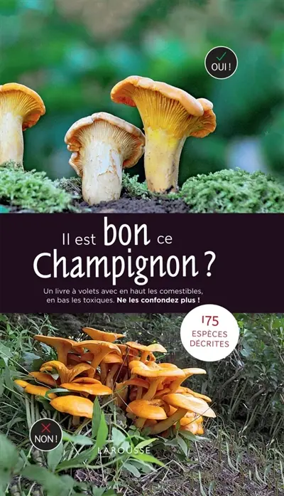 Il est bon ce champignon ? Il est bon ce champignon ?