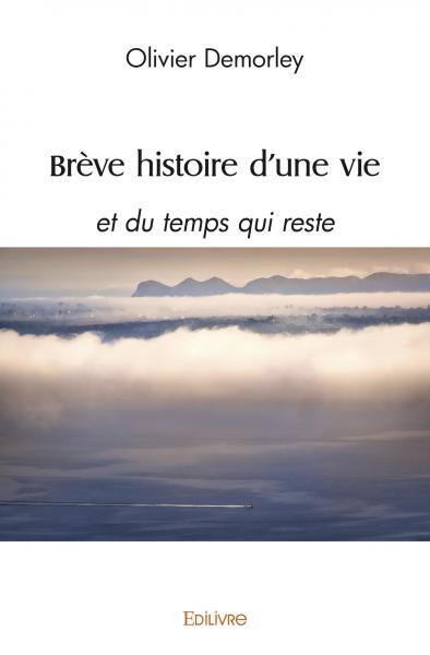 Brève histoire d'une vie :...