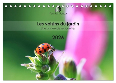 Les voisins du jardin : Une année de rencontres (Calendrier de bureau 2026 DIN A5 vertical), CALVENDO calendrier mensuel : Un calendrier tendre et coloré qui met en lumière, mois après mois, la vie secrète et fascinante des animaux de nos jardins.
