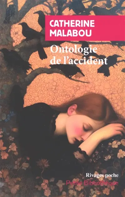 Ontologie de l'accident : essai sur la plasticité destructrice Ontologie de l'accident : essai sur la plasticité destructrice