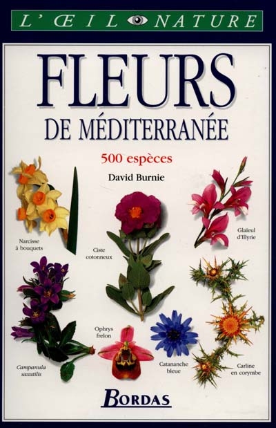 Les fleurs de Méditerranée