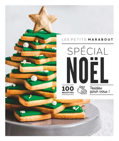 Spécial Noël : 100 recettes testées pour vous !