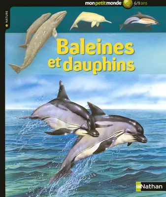 Les baleines et dauphins