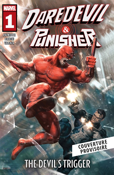 Daredevil & Punisher. Vol....