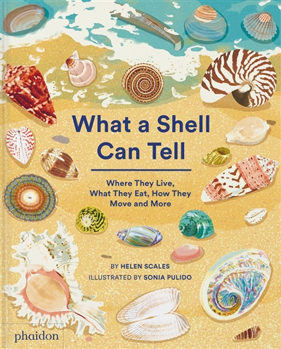 What a Shell can tell : where they live, what they eat, how they move and more