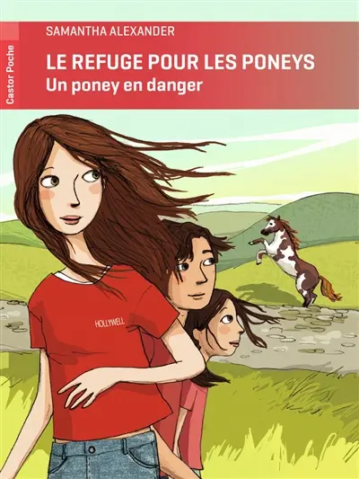 Le refuge pour les poneys. Un poney en danger