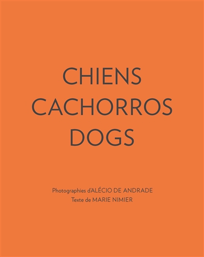 Chiens. Cachorros. Dogs