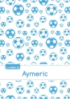 Le cahier d'Aymeric :...