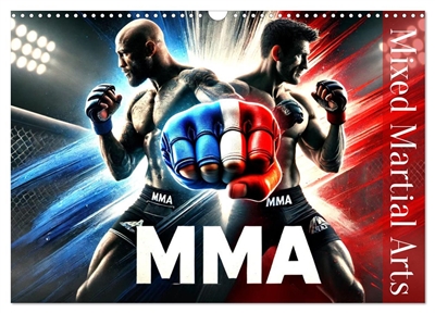 MMA : Mixed Martial Arts...