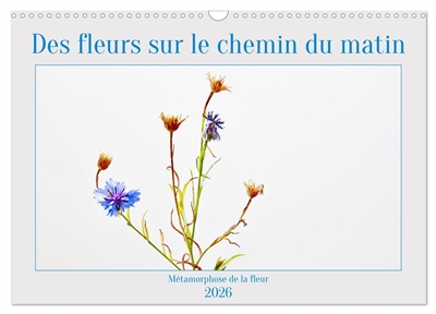 Des fleurs sur le chemin du...