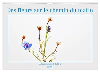 Des fleurs sur le chemin du matin (Calendrier mural 2026 DIN A3 vertical), CALVENDO calendrier mensuel : La métamorphose des fleurs, les moyens de semer