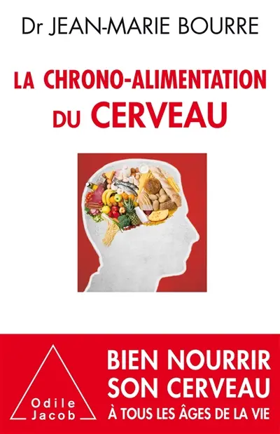 La chrono-alimentation du cerveau