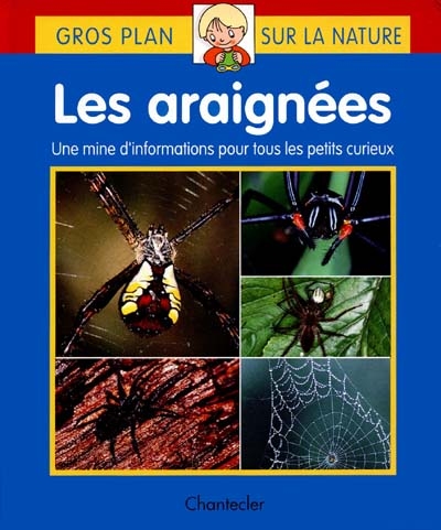 les araignées qui tissent des toiles