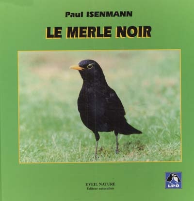 le merle noir