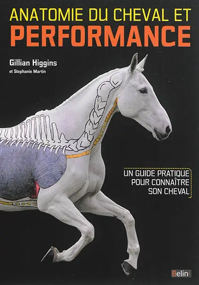 Anatomie du cheval et performance : un guide pratique pour connaître son cheval