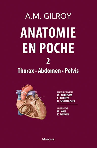 Anatomie en poche. Vol. 2. Thorax, abdomen, pelvis