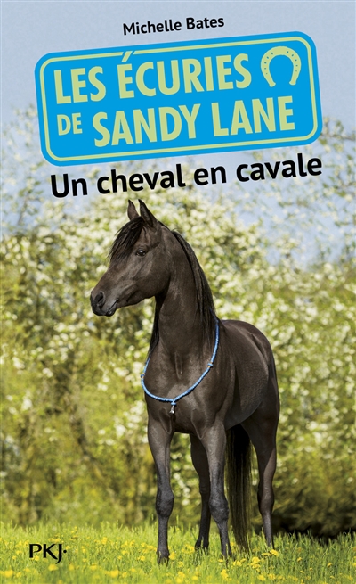 Les écuries de Sandy Lane. Vol. 7. Un cheval en cavale