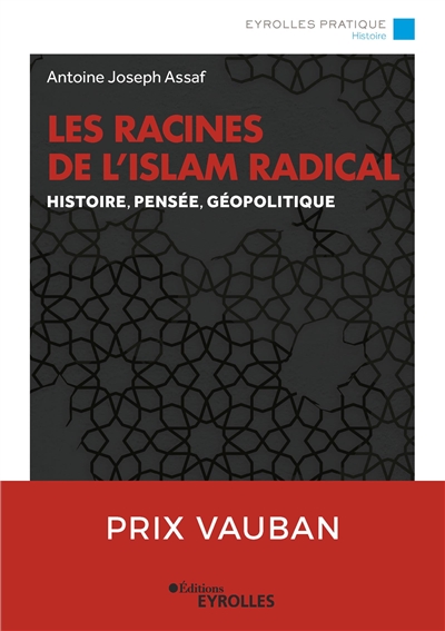 Les racines de l'islam radical : histoire, pensée, géopolitique