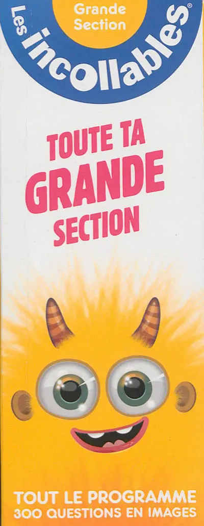 Toute ta grande section : tout le programme : 300 questions en images