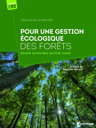 Pour une gestion écologique des forêts : récolter du bois dans une forêt vivante