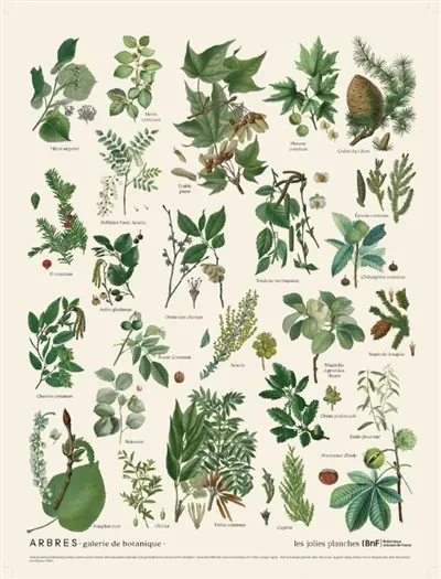 Arbres : galerie de botanique