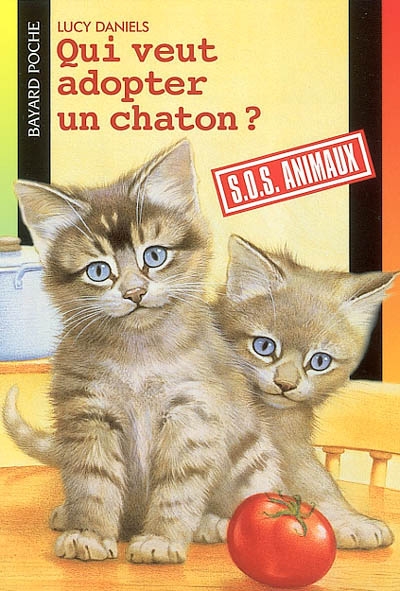 Qui veut adopter un chaton ?