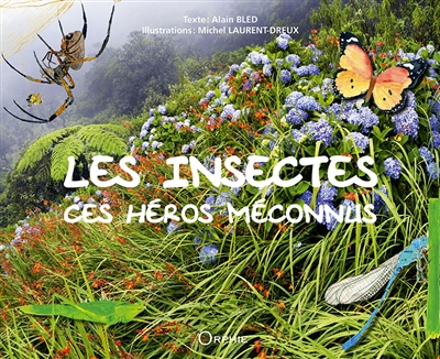 Les insectes : ces héros méconnus