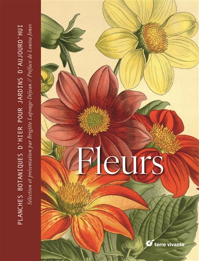 Fleurs : planches...