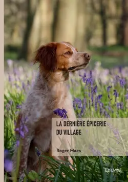 La dernière épicerie du village