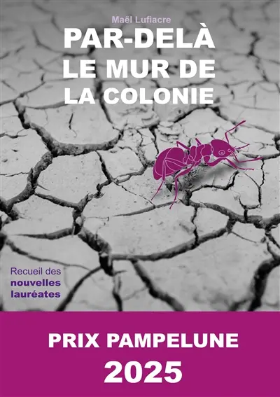 Par-delà le Mur de la Colonie : Prix Pampelune 2025