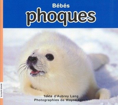 Bébés phoques