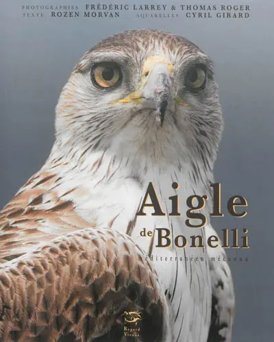 Aigle de Bonelli : méditerranéen méconnu