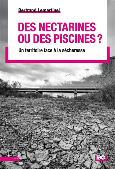 Des nectarines ou des...