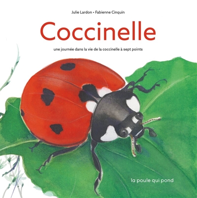 Coccinelle : une journée...