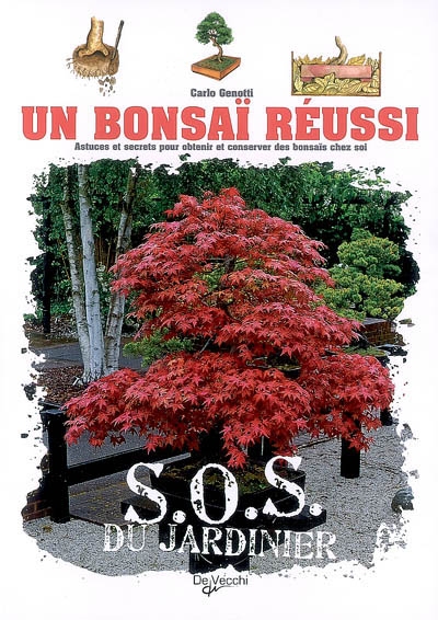 Un bonsaï réussi : astuces et secrets pour obtenir et conserver des bonsaïs chez soi