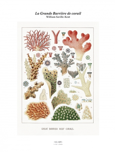 La grande barrière de corail : tirage