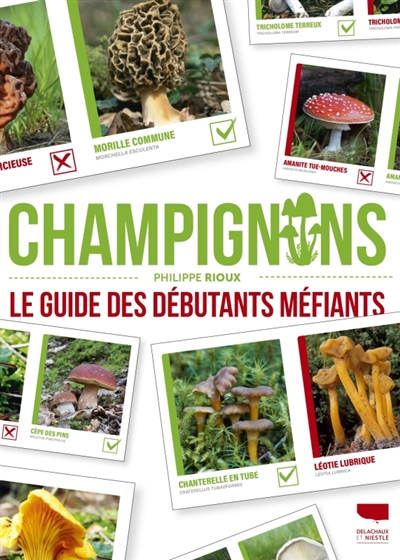 Champignons : le guide des...