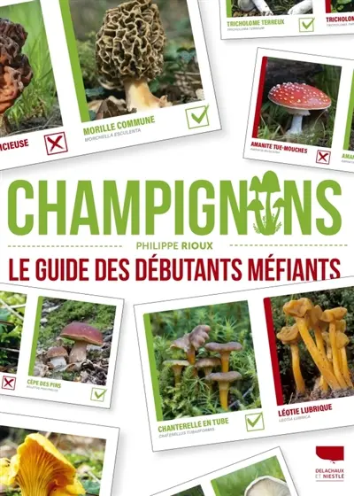 Champignons : le guide des débutants méfiants