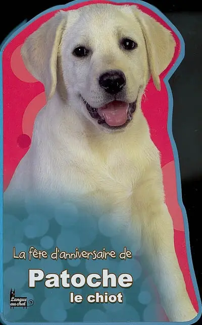 La fête d'anniversaire de Patoche le chiot