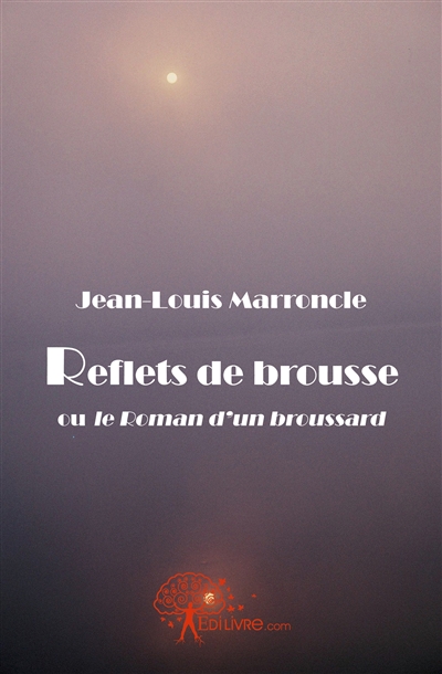 Reflets de brousse : (ou le...