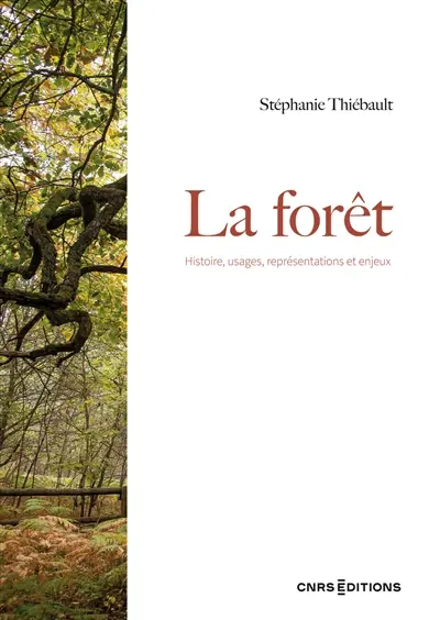 La forêt : histoire, usages, représentations et enjeux