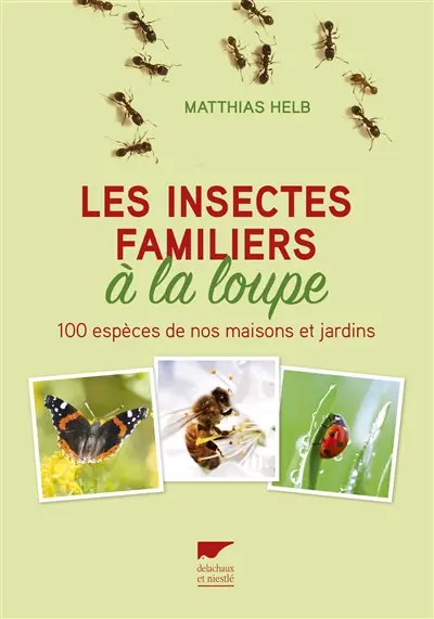 Les insectes familiers à la loupe : 100 espèces de nos maisons et jardins