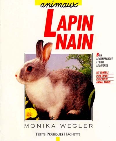 Le lapin nain